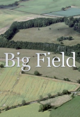 couverture film Big Field