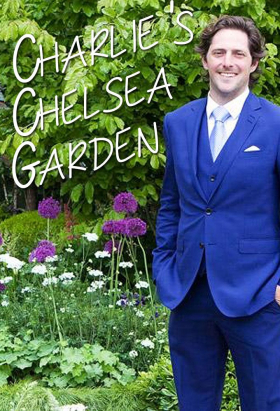 couverture film Breaking Magic