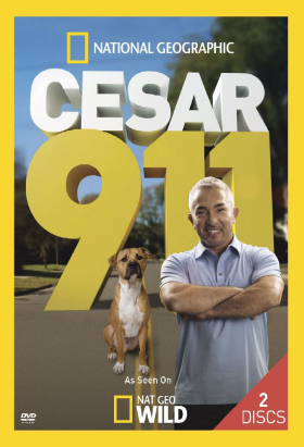 couverture film Cesar 911