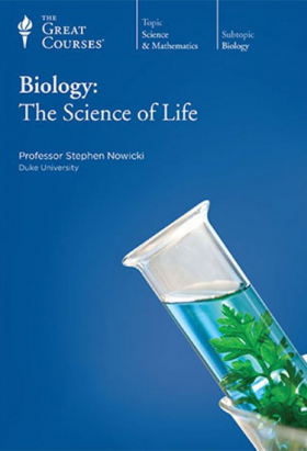 couverture film Conexion Samanta