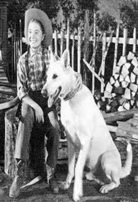 couverture film Corky and White Shadow