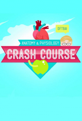 couverture film Crash Course Anatomy & Physiology