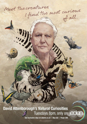 couverture film David Attenborough's Natural Curiosities