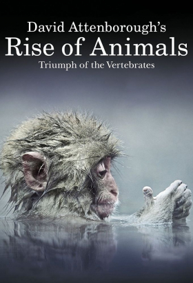 couverture film David Attenborough&#039;s Rise of Animals: Triumph of the Vertebrates