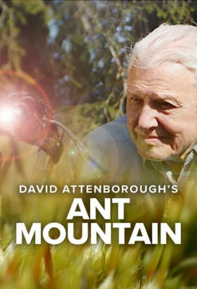 couverture film David Attenborough's Wild City