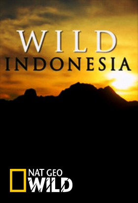 couverture film Destination Wild Indonesia