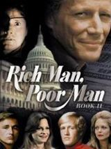 couverture film Detective Inspector Irene Huss