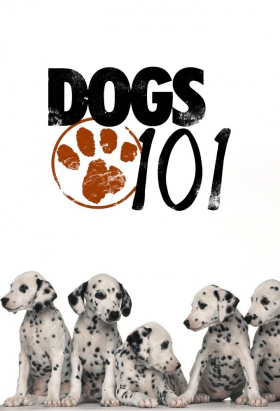couverture film Dogs 101