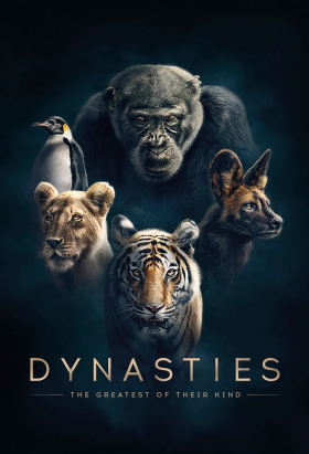 couverture film Dynasties
