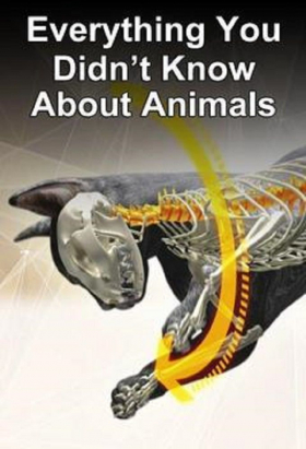 couverture film Everything You Didn't Know About Animals