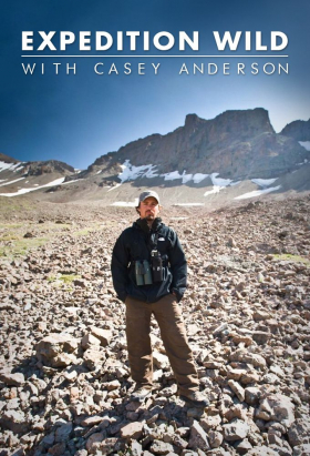 couverture film First Life with David Attenborough