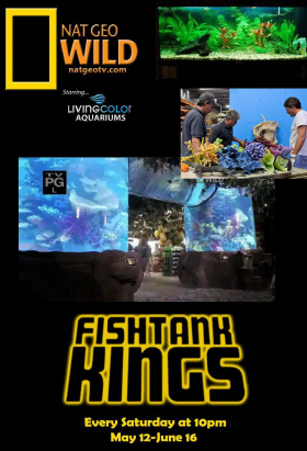 couverture film Fish Tank Kings
