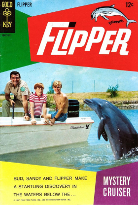 couverture film Flipper