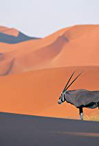 couverture film Funny by Nature