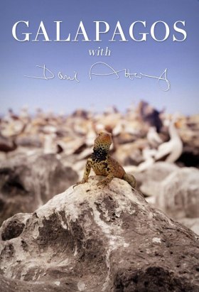 couverture film Galápagos