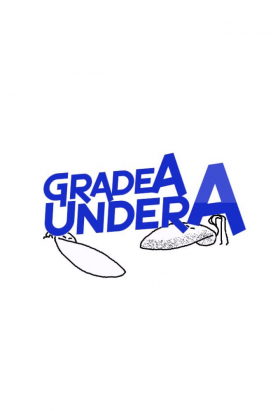 couverture film GradeAUnderA