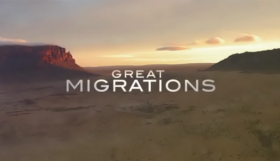 couverture film Great Migrations