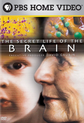 couverture film Helicopter Warfare