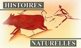 couverture film Histoires Naturelles