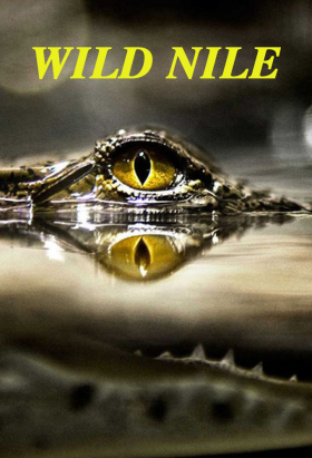 couverture film IMPLANTgames: Reviews