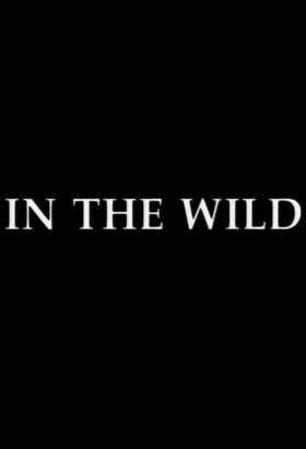 couverture film In The Wild (1992)