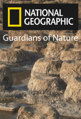 couverture film Injustice Files