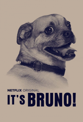 couverture film It’s Bruno!