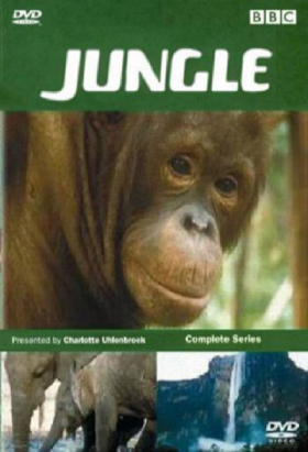 couverture film Jungle