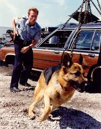 couverture film Katts and Dog
