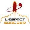 couverture film L'Esprit Sorcier