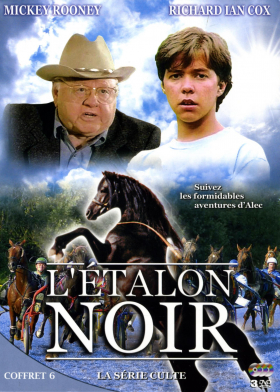 couverture film L'Étalon noir