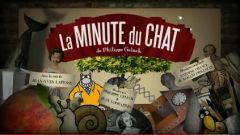 couverture film La Minute du Chat
