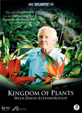 couverture film Le Royaume des Plantes 3D
