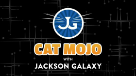 couverture film Les Archives en couleurs - L'Intégrale