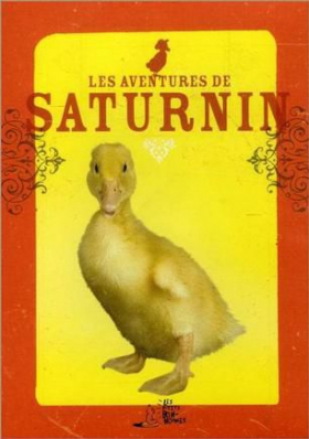 couverture film Les aventures de Saturnin