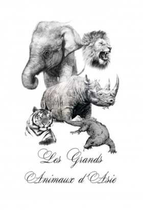 couverture film Les grands animaux d'Asie