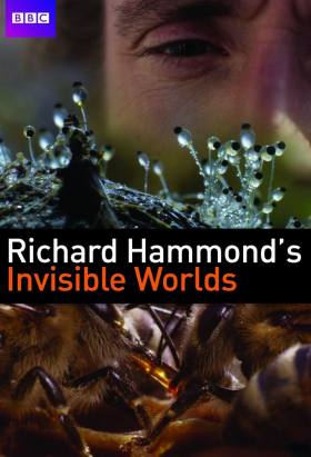 couverture film Les mondes invisibles de Richard Hammond