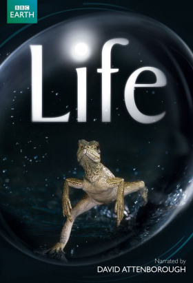 couverture film Life, l'aventure de la vie