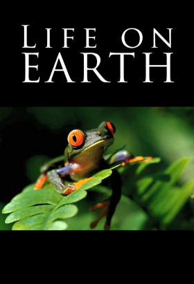 couverture film Life on Earth