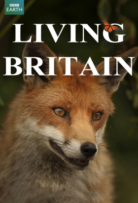 couverture film Living Britain