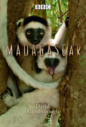 couverture film Madagascar