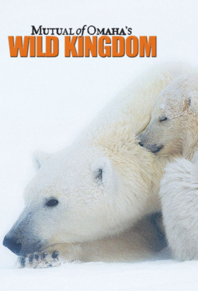 couverture film Mutual Of Omaha's Wild Kingdom
