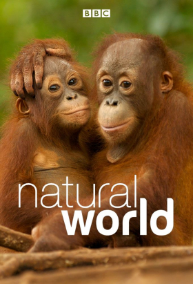 couverture film Natural World