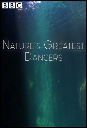 couverture film Nature's Greatest Dancers