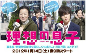 couverture film Perfect Son