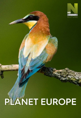 couverture film Planet Europe