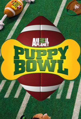 couverture film Puppy Bowl