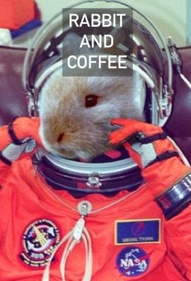 couverture film Rabbit and Coffee