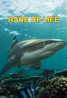 couverture film Race of Life