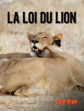 couverture film Ready Set Action